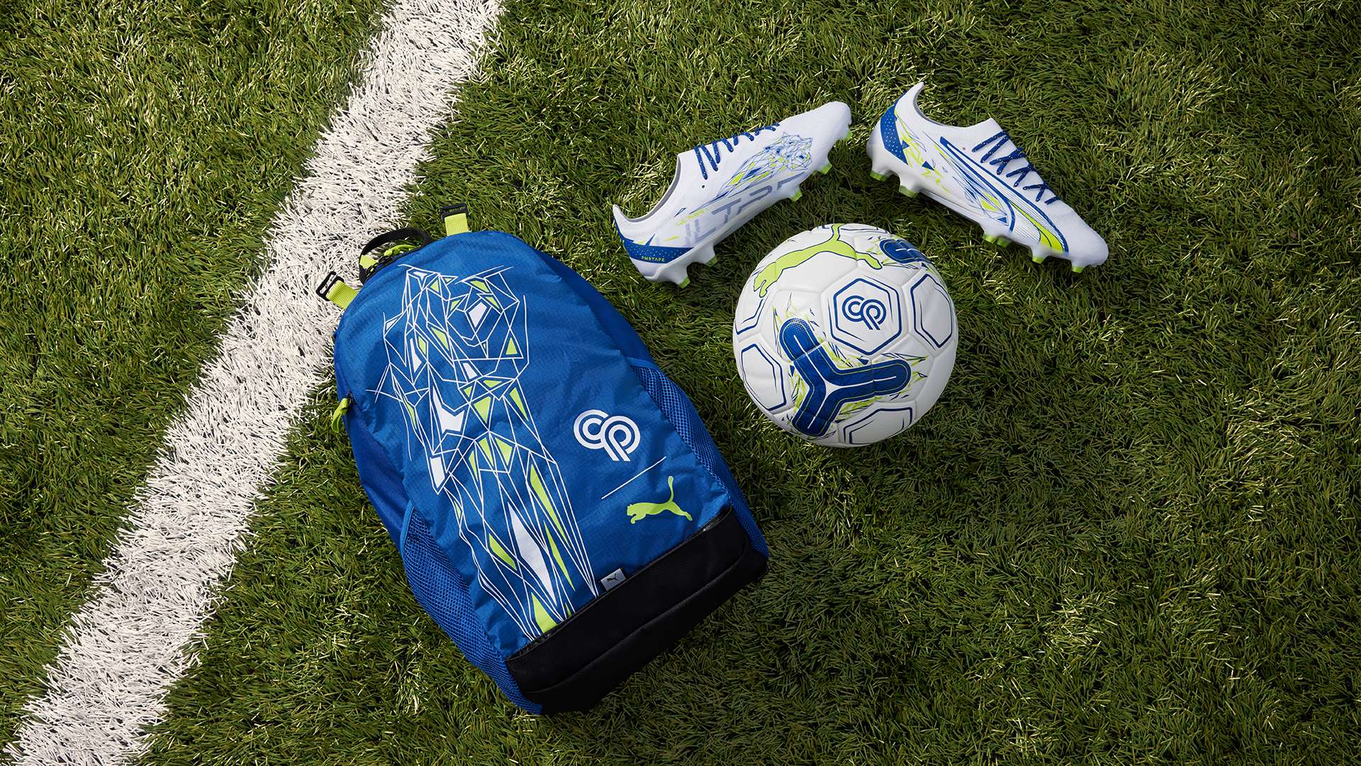 紀律調查的 紀律調查的